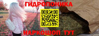 apvp Обь