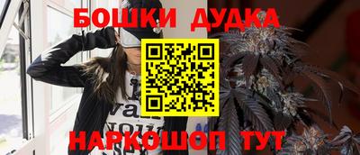 apvp Обь