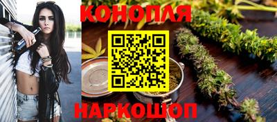 гашик Обнинск