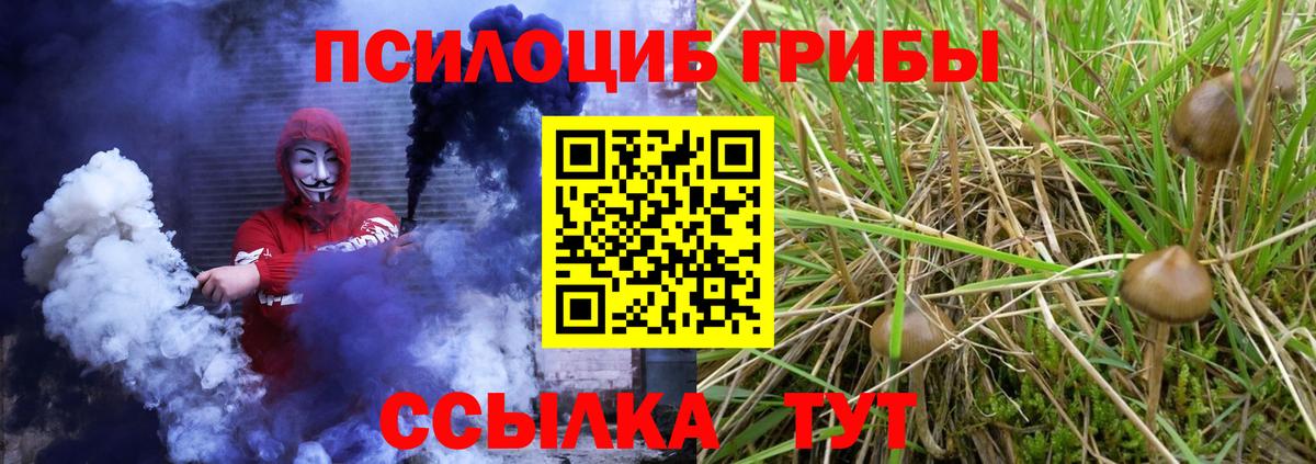 Архангельск  магазин продажи   Вход с VPN  Галлюциногенные грибы мицелий 
